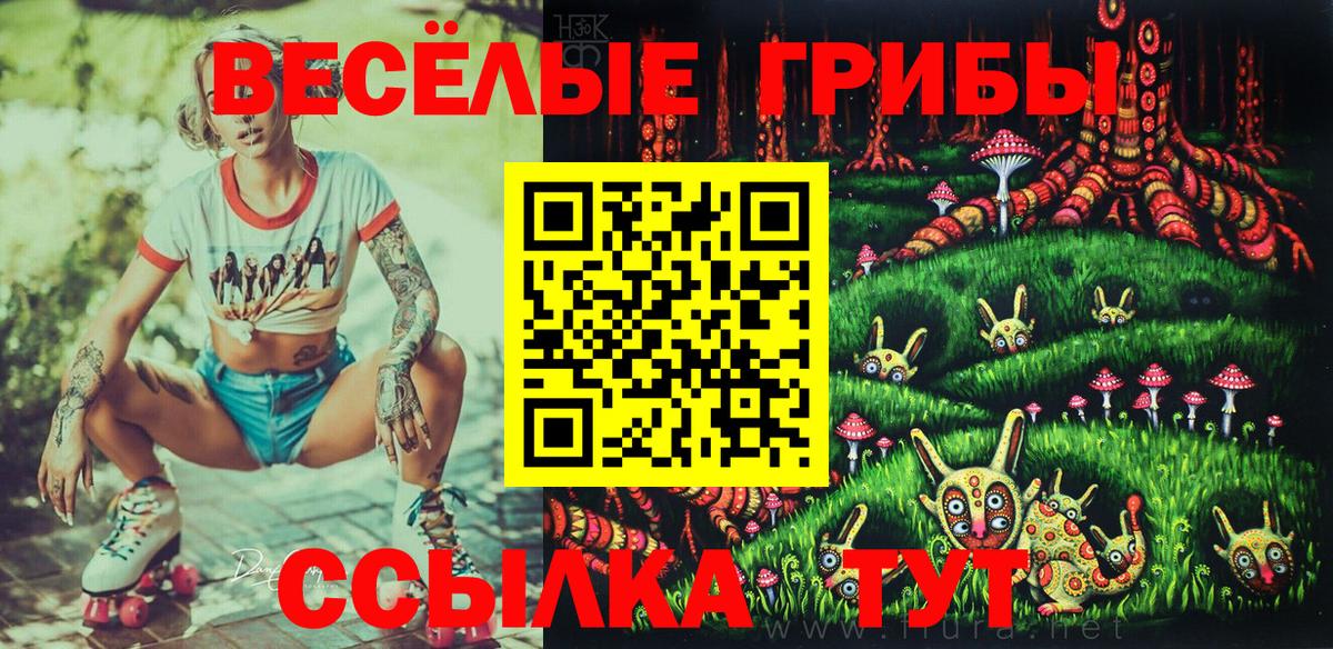 как найти   Галлюциногенные грибы мицелий  Вход с VPN  Сыктывкар  Галлюциногенные грибы мухоморы 
